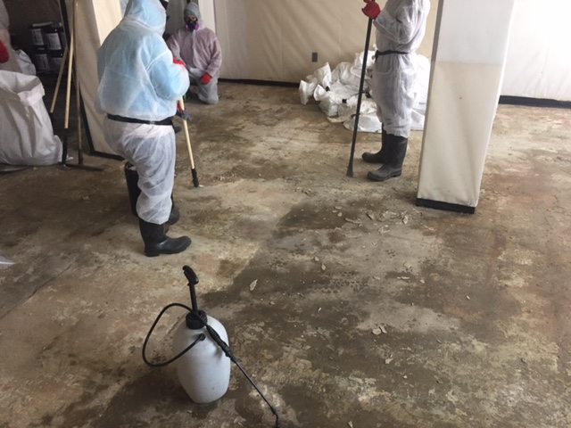 Asbestos in Asheboro, North Carolina