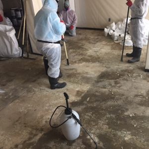 Asbestos in Greensboro, North Carolina