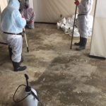Building Demolition Contractor