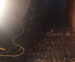 Asbestos Removal