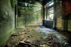 Is Mold a Reason for Building Demolition?