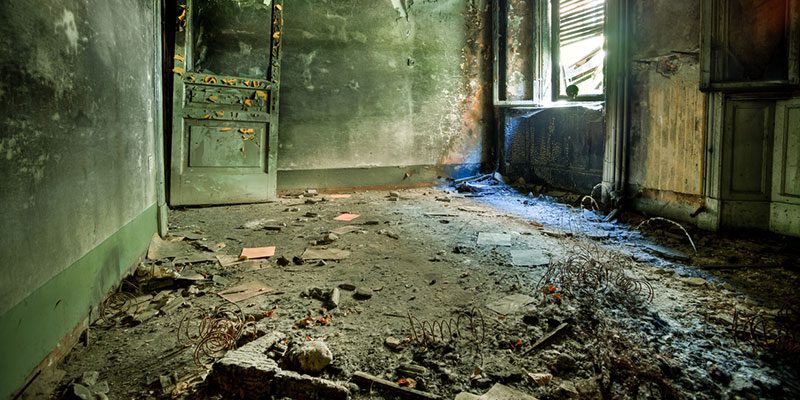 Is Mold a Reason for Building Demolition?