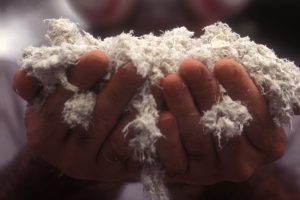 Does My Building Need Asbestos Testing?